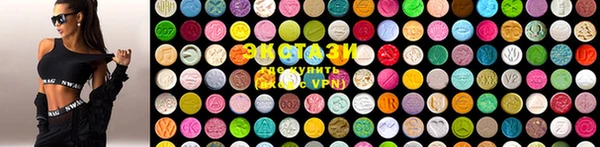 хмурый Абаза