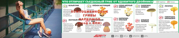 хмурый Абаза
