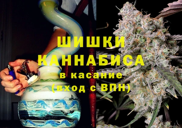 хмурый Абаза