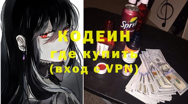 хмурый Абаза