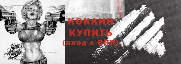 хмурый Абаза