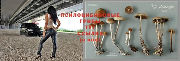хмурый Абаза