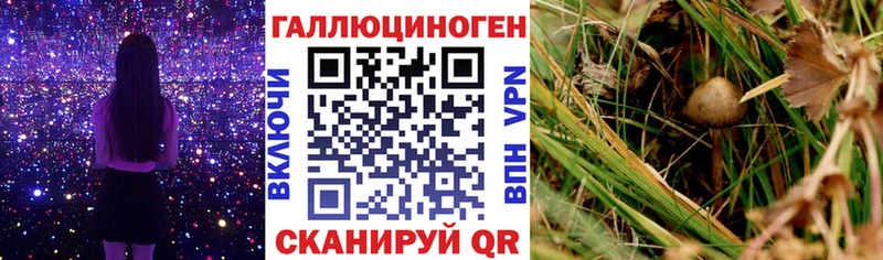 это формула  Жердевка  Галлюциногенные грибы ЛСД  купить  сайты 